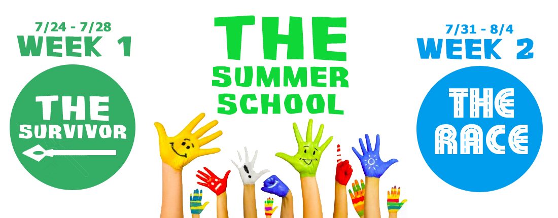 Web Banner - Summer School 2017