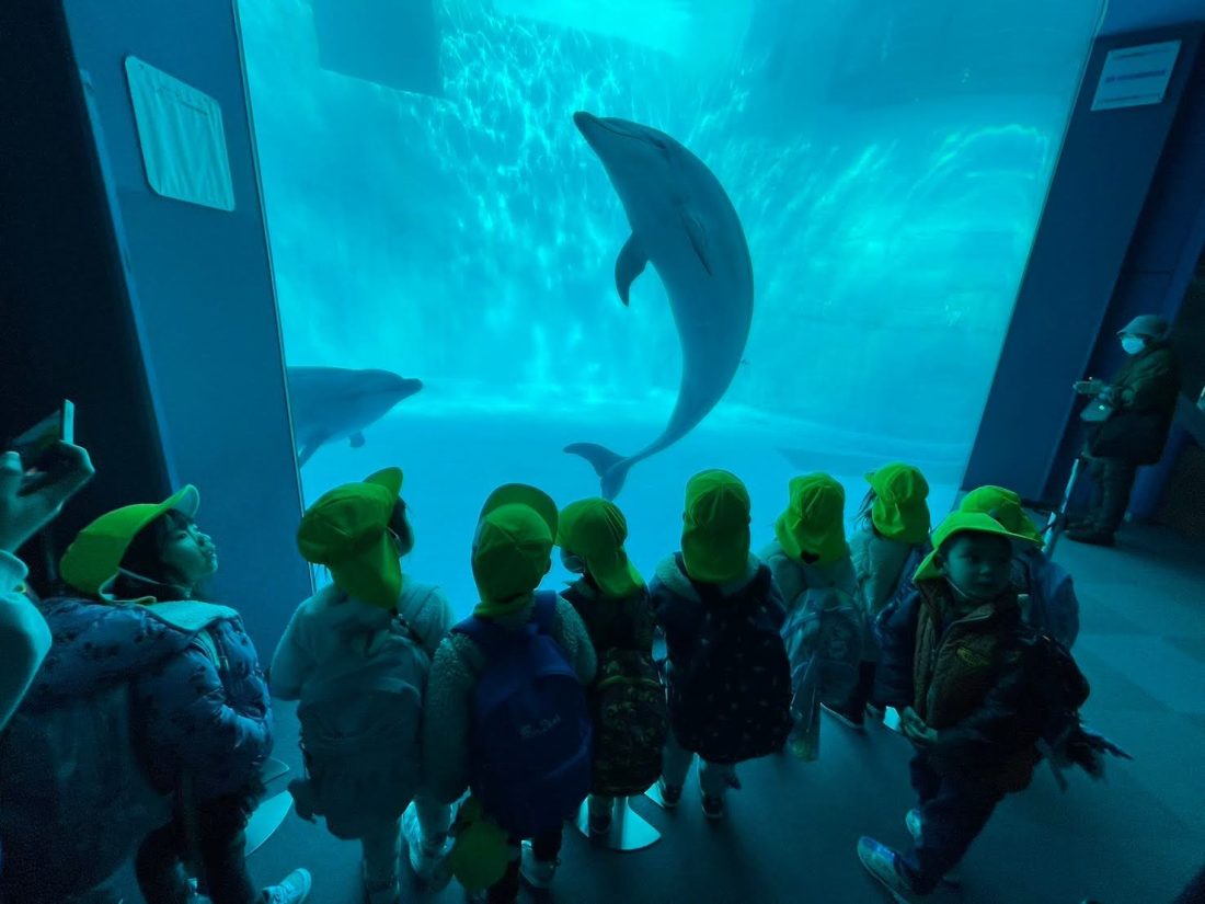 Field trip at Nagoya Aquarium 2024